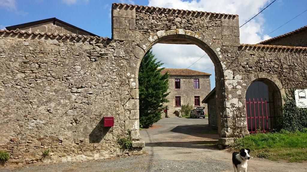 Logis De Riparfonds Bed & Breakfast Bressuire Exterior foto